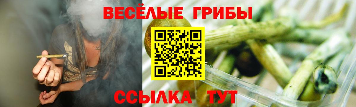 Псилоцибиновые грибы GOLDEN TEACHER Сызрань